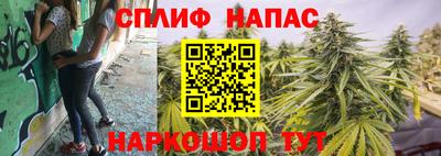 молекула духа Тверь