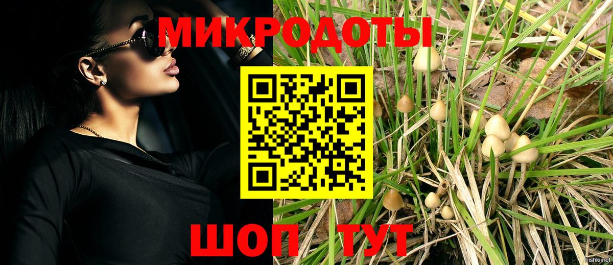 Новошахтинск  Псилоцибиновые грибы ЛСД  Вход с VPN 