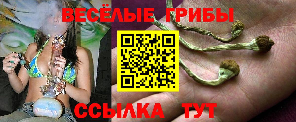 Псилоцибиновые грибы GOLDEN TEACHER Новошахтинск